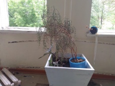 1_Детская поликлиника - 6.jpg